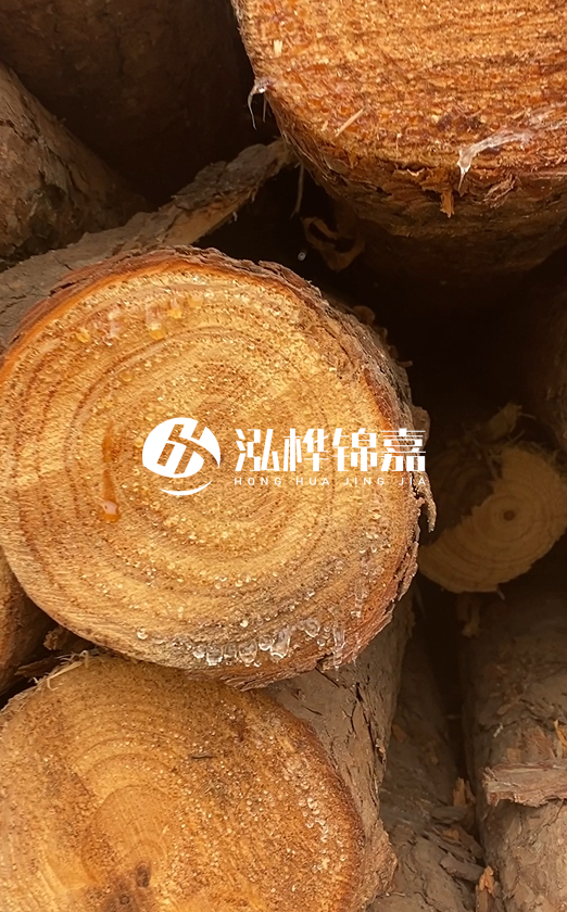 江西打樁木源頭廠家泓樺錦嘉-4米松木樁頭徑18cm多少錢？