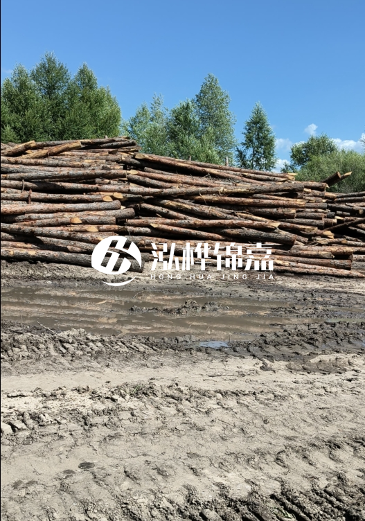 3米松木樁適合河道護(hù)坡嗎？小頭直徑8厘米的松木樁價(jià)格如何？