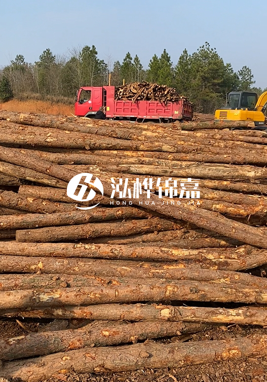 8米小頭11-13CM的松木樁價(jià)格是多少？打樁施工怎么算？