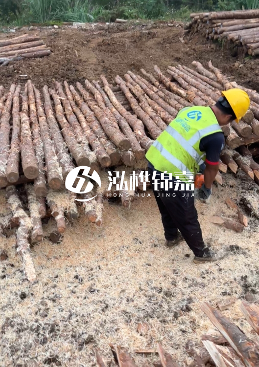 江蘇打樁木源頭廠家泓樺錦嘉-2.5米大頭10CM多少錢一根？