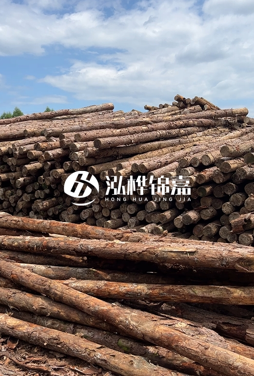 福建松木樁源頭廠家泓樺錦嘉-4.5米松木樁大頭15CM多少錢？