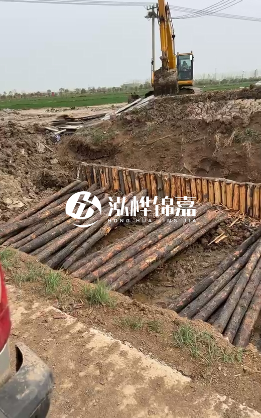 4米直徑12-13油松批發(fā)價最低多少？報價含稅含運嗎？