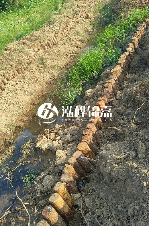 湖南松木樁批發(fā)廠家直銷-松木樁做碳化多少錢一根？