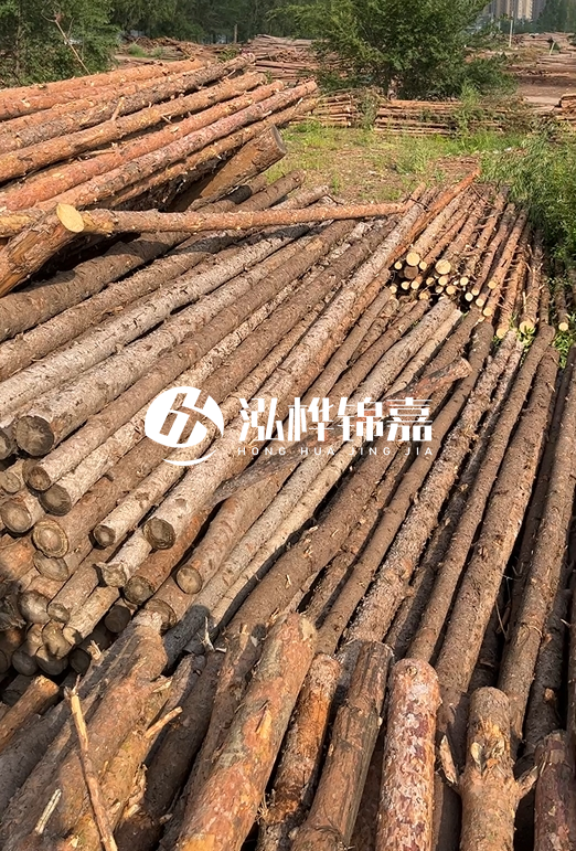 如何選擇合適的松木樁廠家？采購松木樁需要考慮的因素有哪些？