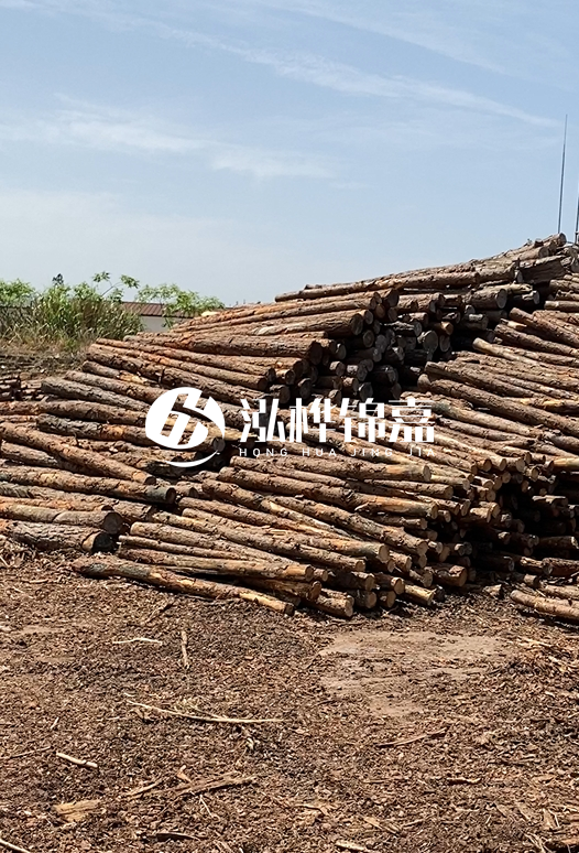 3.5米松木樁單價含稅怎么計算？碳化處理成本增加多少？