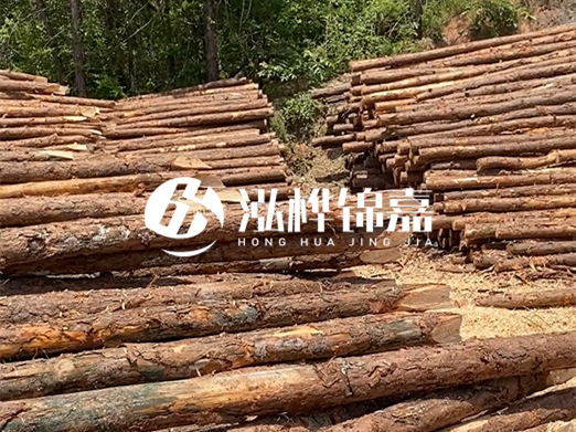 松木樁的運(yùn)輸費(fèi)用是否包含卸車費(fèi)？卸貨時需要注意哪些安全問題？