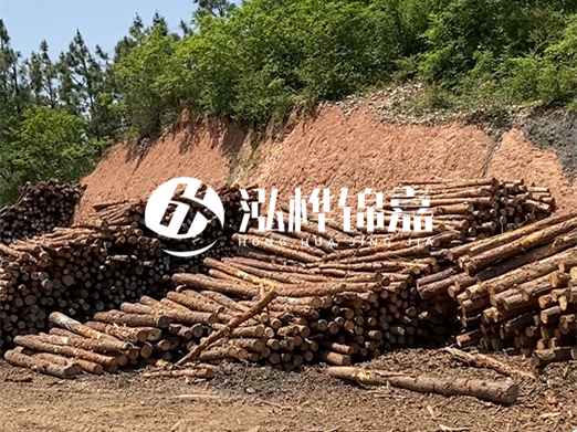 油松打樁木和落葉松打樁木的價格差異是多少？哪個性價比更高？