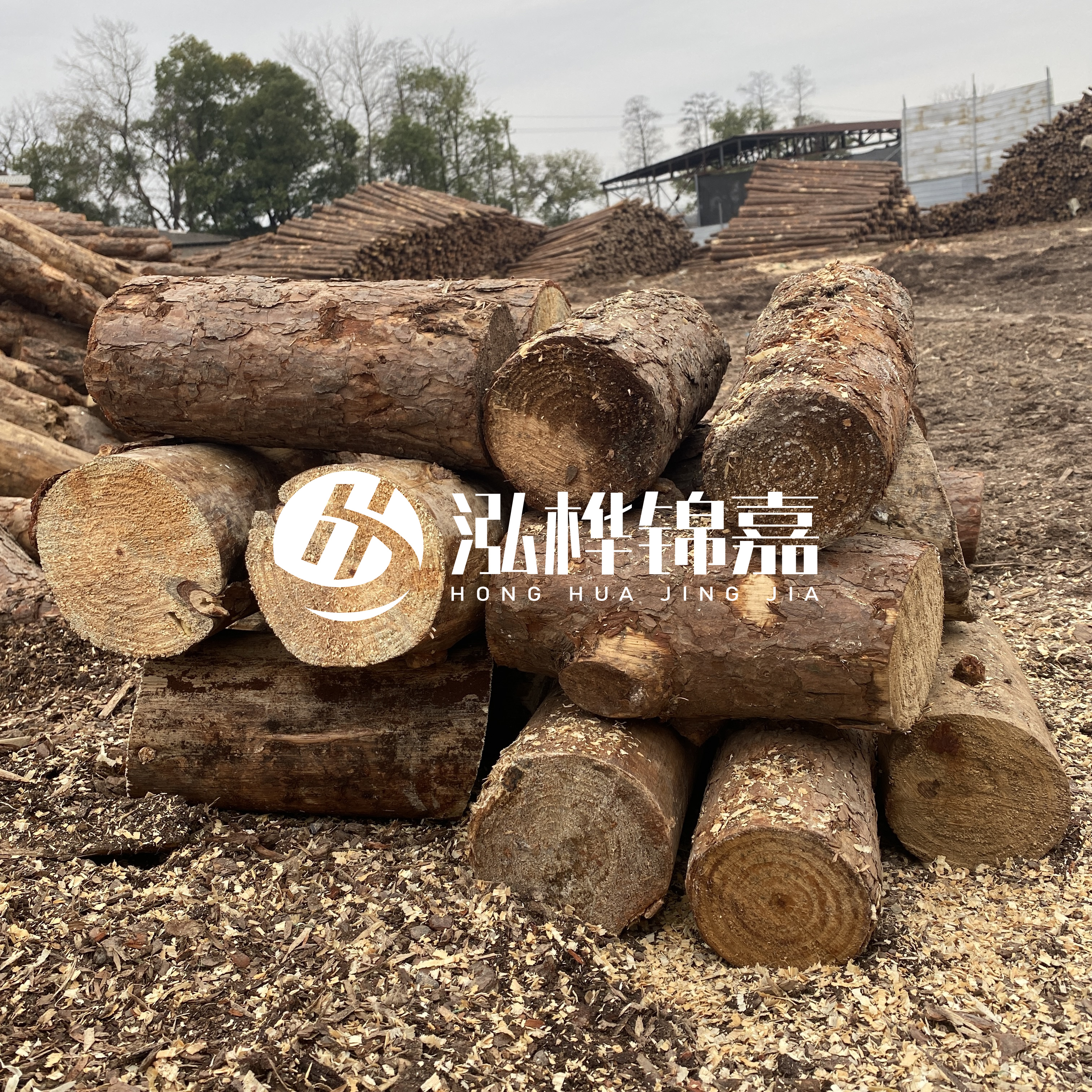 打樁木邊角料能做什么用途？怎么賣的？