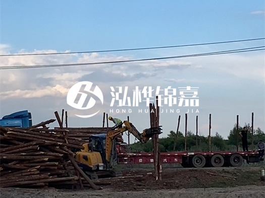 河北打樁木源頭廠家泓樺錦嘉 - 北方常用打樁木是什么？