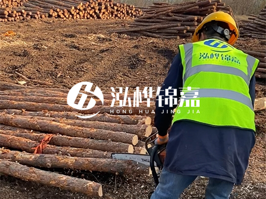 哪些木樁廠家能提供快速定制服務(wù)？哪些木樁廠家在國內(nèi)有多個生產(chǎn)基地？