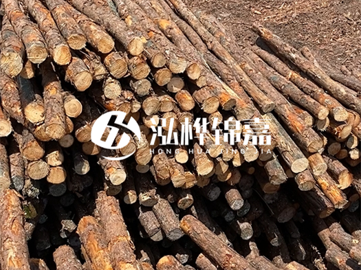 江西有哪些松木樁生產(chǎn)廠家？松木樁廠在什么位置？