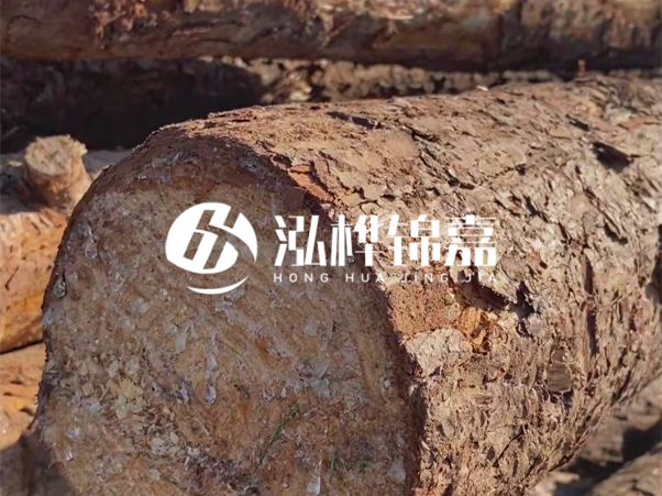 松木樁如何做到千年不腐的？松木樁打地基耐用年限揭秘