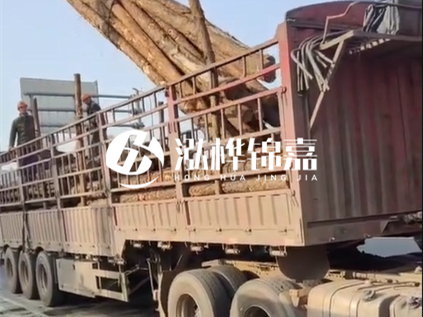 4米長杉木10公分價(jià)格-4.5米直徑15cm 杉木多少錢？