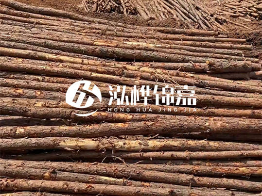 10公分的木材多少根為一方 - 4米10公分樹多少根為一方？