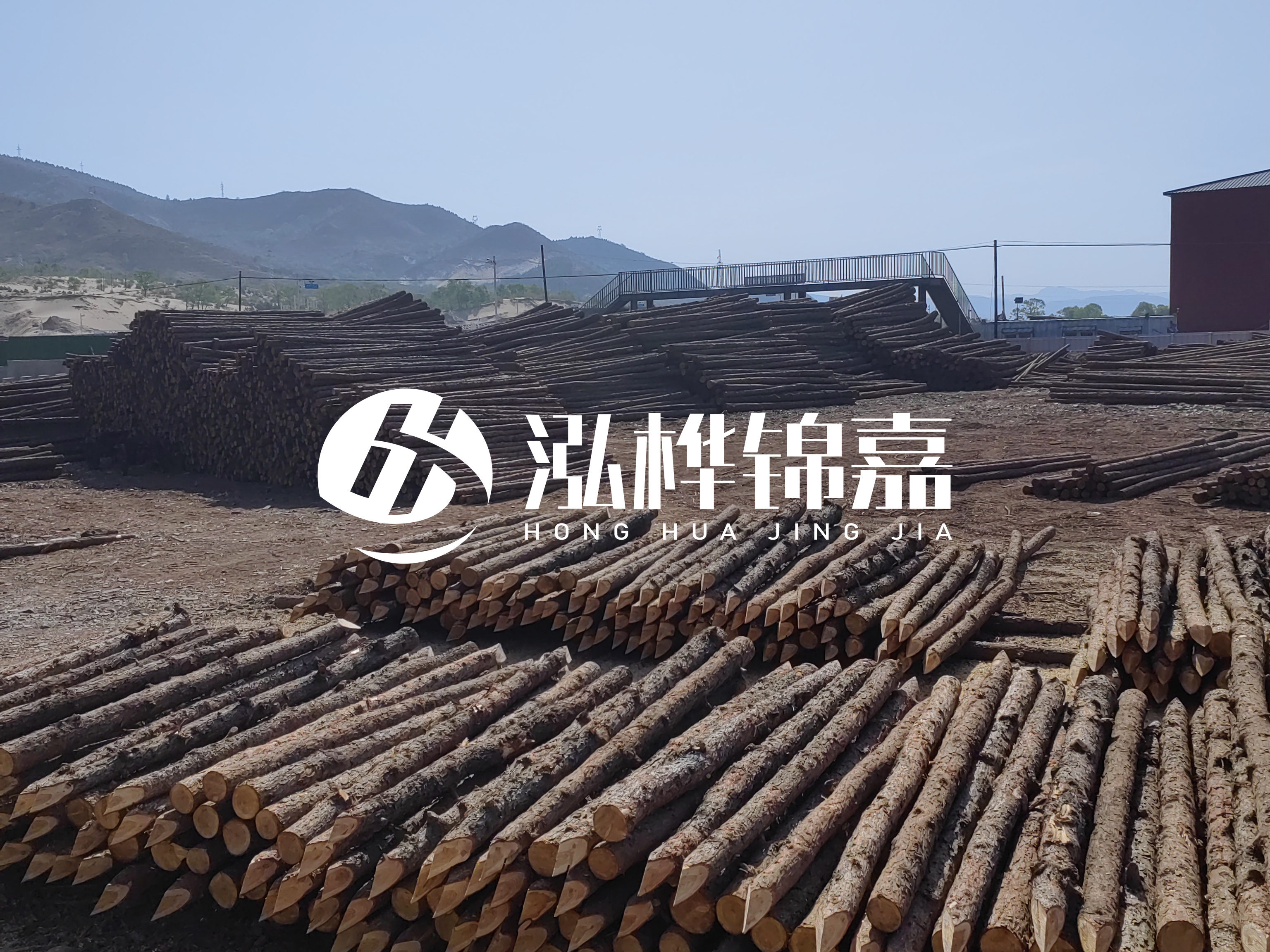 江蘇打樁木源頭廠家泓樺錦嘉-4米打樁木大頭14-16小頭一般多少？