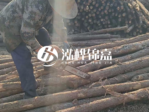 廣東打樁木源頭廠家泓樺錦嘉 - 如何選擇適合特定邊坡的松木樁？