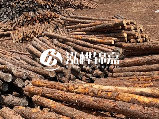 浙江打樁木源頭廠家泓樺錦嘉-松木廠家批發(fā)電話地址？