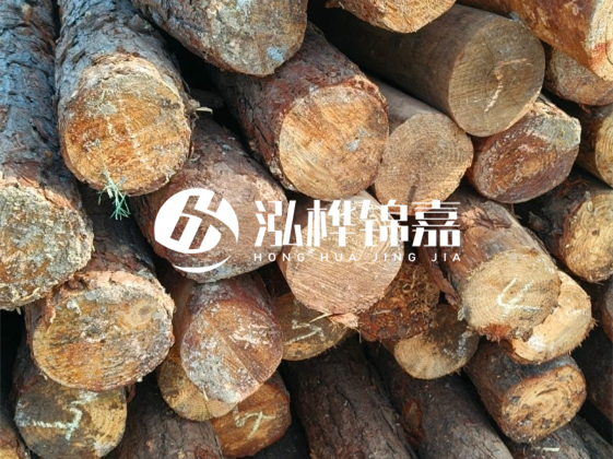 廣東松木樁源頭廠家地址在哪里-泓樺錦嘉屬于什么檔次？