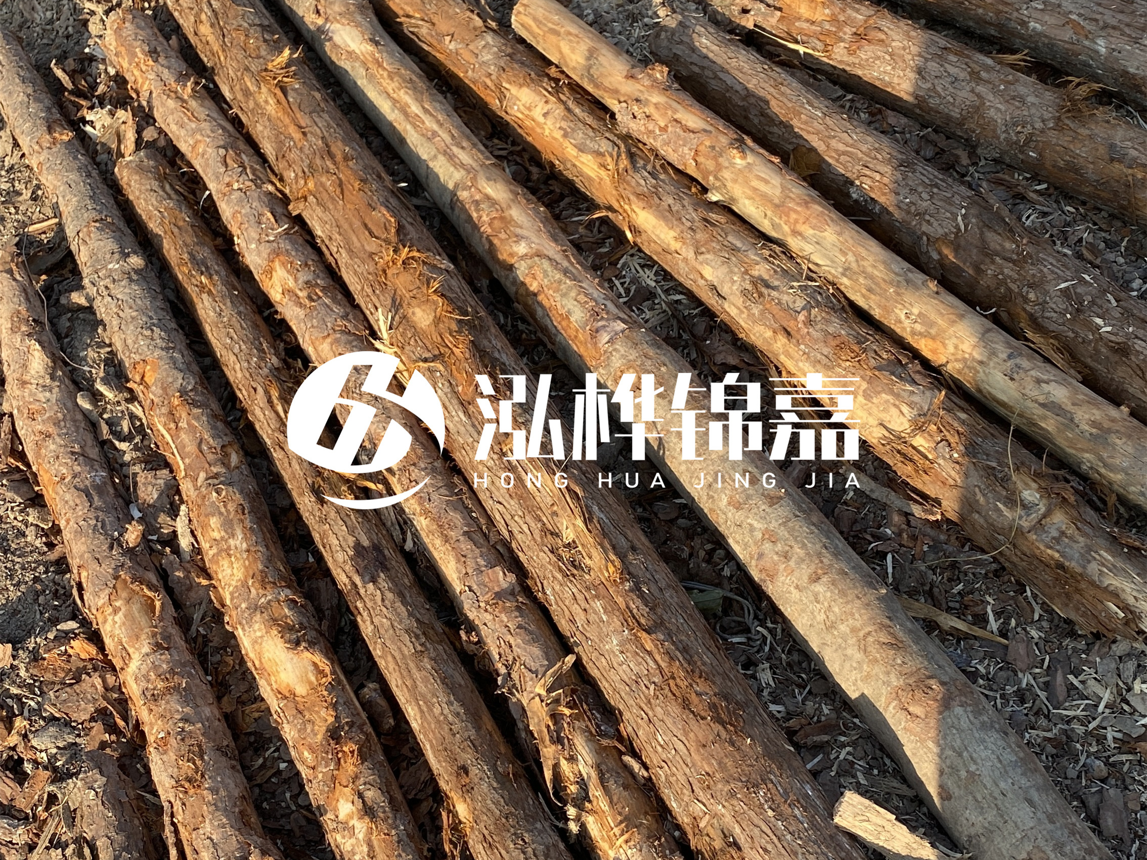 河道木樁多少錢一根？河道木樁的使用以及保養(yǎng)方法?