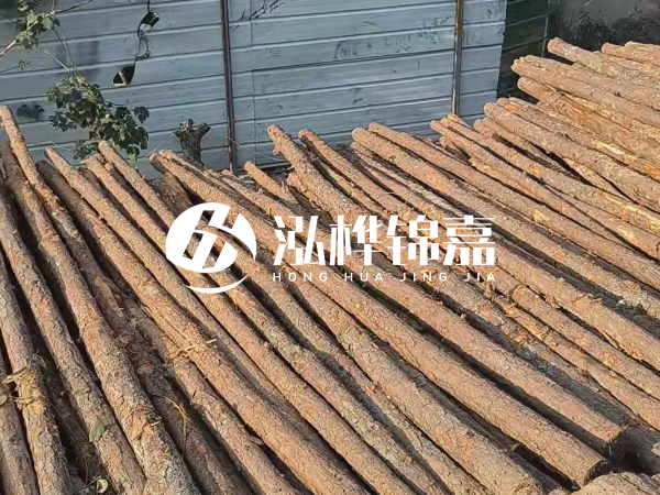 松木樁打樁后清淤怎么處理？有沒有全包的公司？