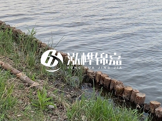 防洪松木樁施工重要性？河道打木樁的位置怎么確定？