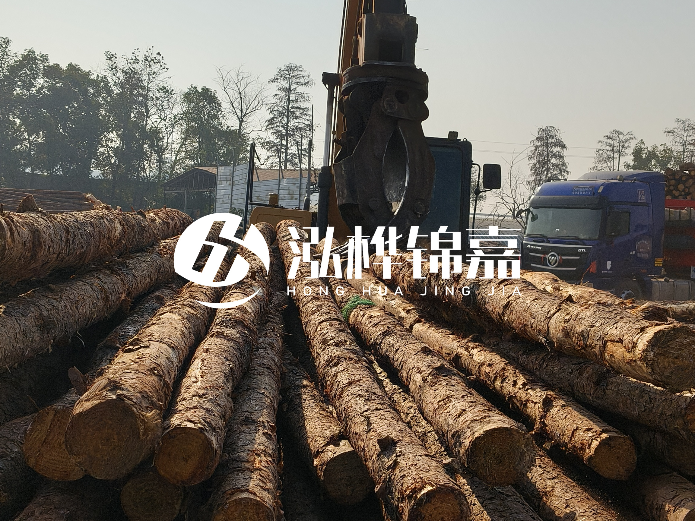 松木樁可以用來做什么？常用于哪些工程？