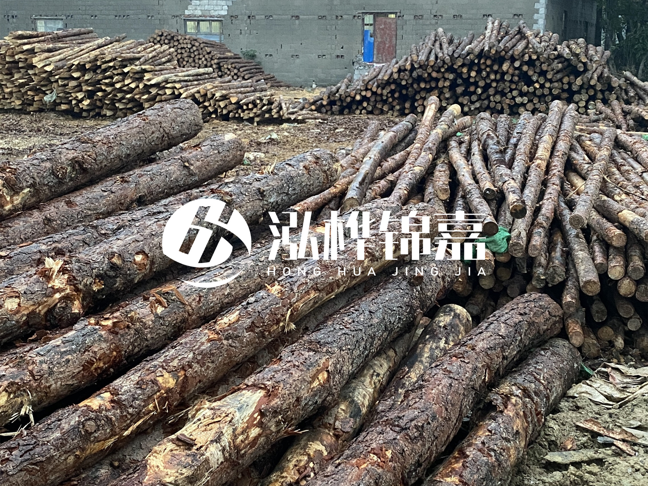 松木樁批發(fā)廠家泓樺錦嘉 - 河道松木樁如何選擇優(yōu)質(zhì)木材？
