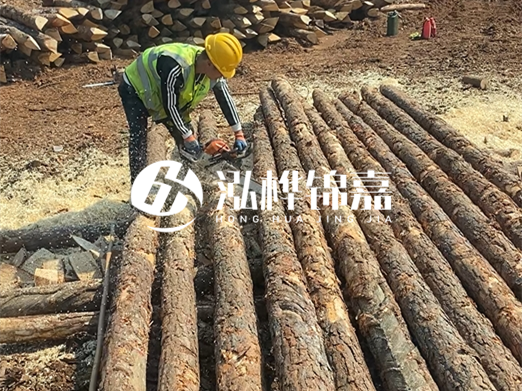 松木樁批發(fā)廠家泓樺錦嘉-河道打樁木施工中怎么防止樁頭被打壞？