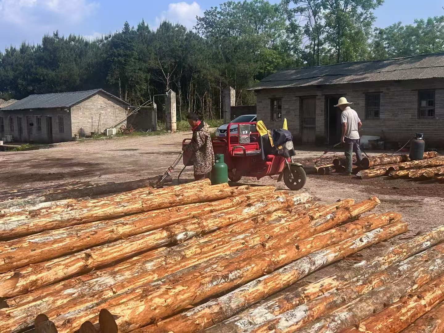 松木樁批發(fā)廠家泓樺錦嘉-圍堰松木樁為什么要交錯(cuò)排列？