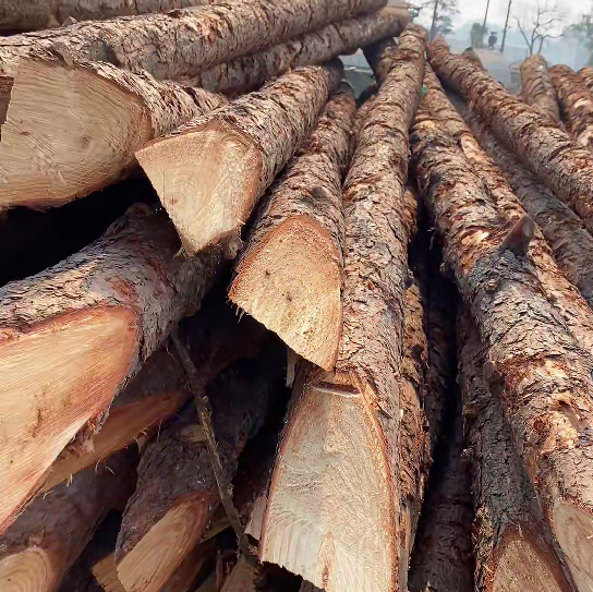 松木樁施工隊(duì)泓樺錦嘉 - 原木松木樁怎么辨別是否為實(shí)心？