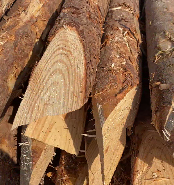 松木樁施工隊泓樺錦嘉 - 原木松木樁的最低起訂量是多少？