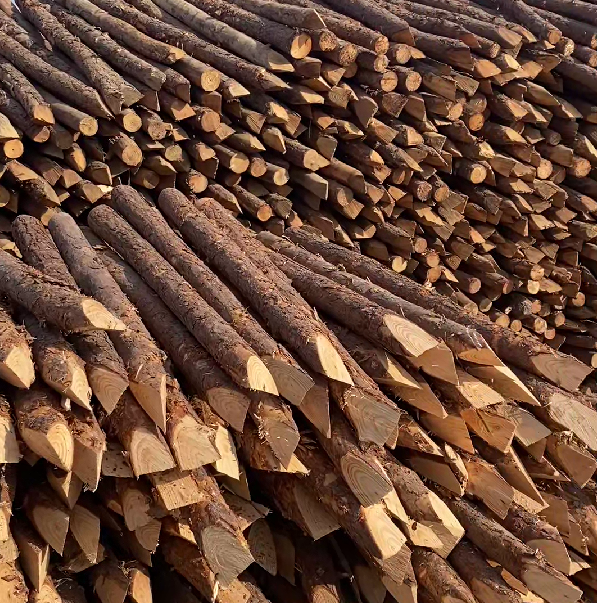 松木樁施工隊泓樺錦嘉 - 河道駁岸樁的檢測標準是什么？