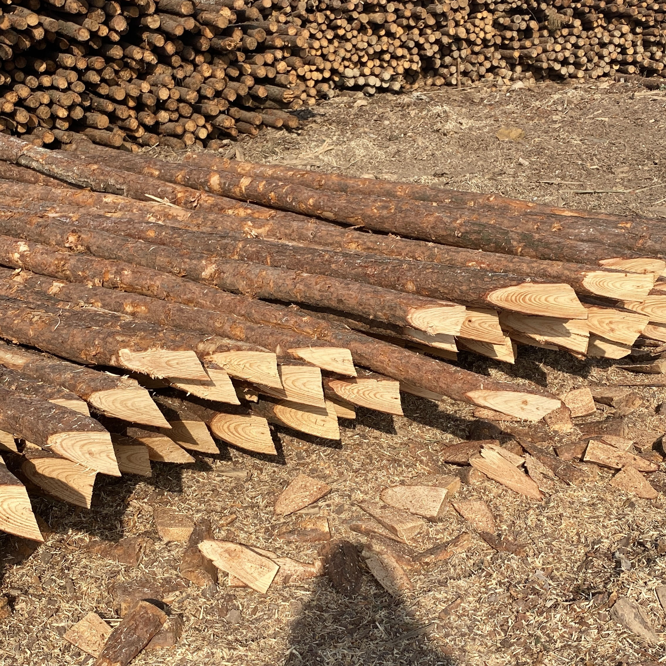 松木樁施工隊泓樺錦嘉-樁與樁之間的距離要求？