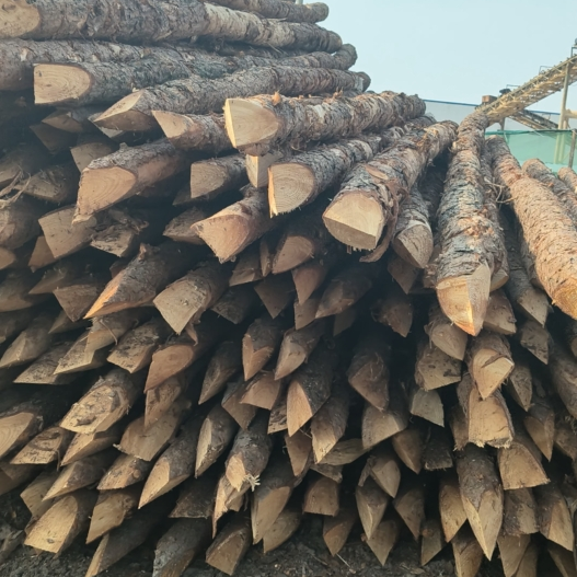 松木樁施工隊(duì)泓樺錦嘉 - 河道改造用什么規(guī)格的打樁木？