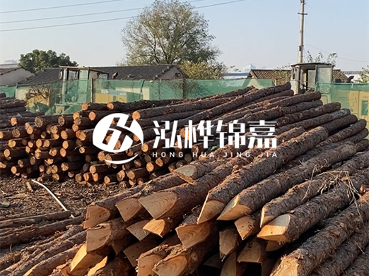 松木樁施工隊(duì)泓樺錦嘉 - 河道打樁用什么木樁？