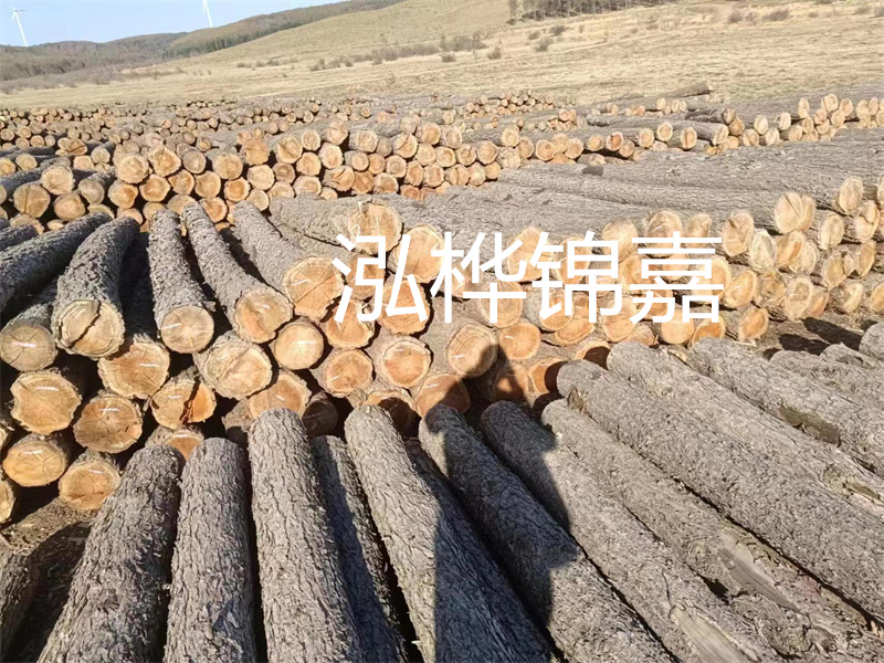 金杉木板材：輕好、重好的選擇