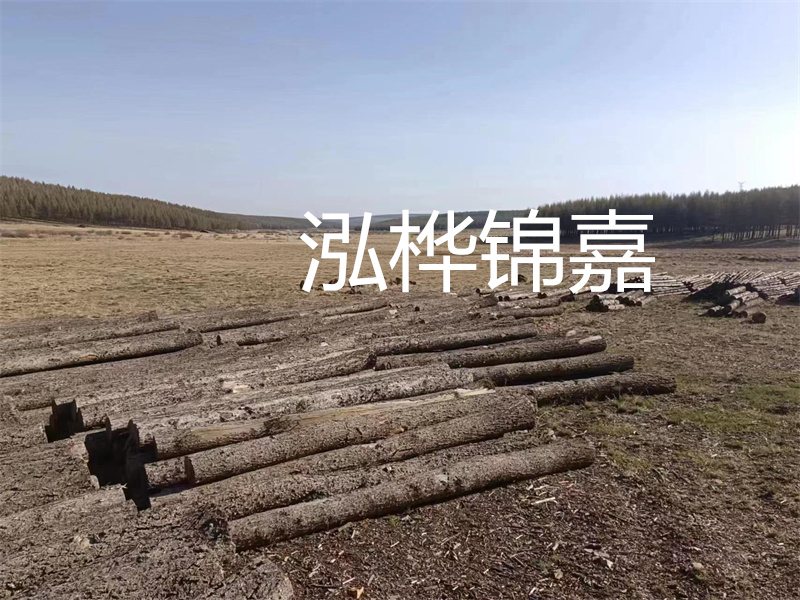 鄂州松木樁哪里好？推薦泓樺錦嘉松木樁業(yè)！